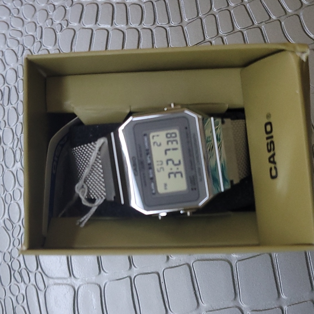 Casio Watch